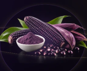 Purple corn